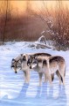 雪景色のオオカミ